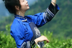 红茶影响睡眠吗(红茶是否会影响睡眠质量)