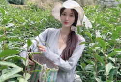 绿茶的作用与功效(绿茶的健康益处与功用)