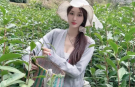 普洱茶的功效与作用保质期多长时间(普洱茶的健康价值与保存时间)